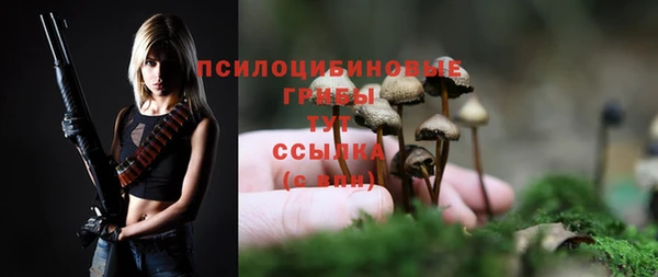 Альфа ПВП Бугульма