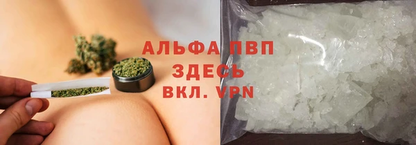 стаф Бронницы