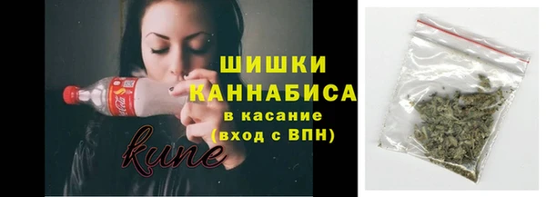 сатива Богданович