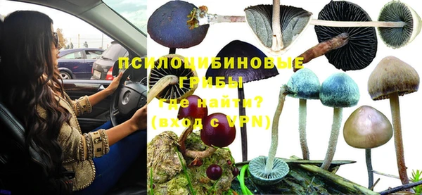 сатива Богданович