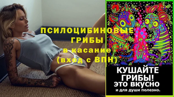 Альфа ПВП Бугульма