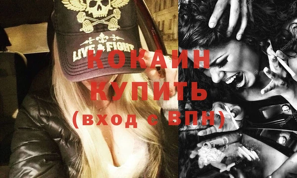 сатива Богданович