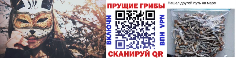 Псилоцибиновые грибы Magic Shrooms  Купить  Лобня 